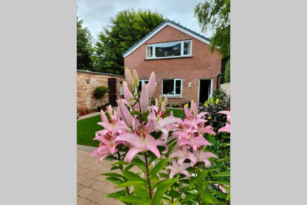 Bt 9 Granny Flat & Walled Garden ベルファスト エクステリア 写真
