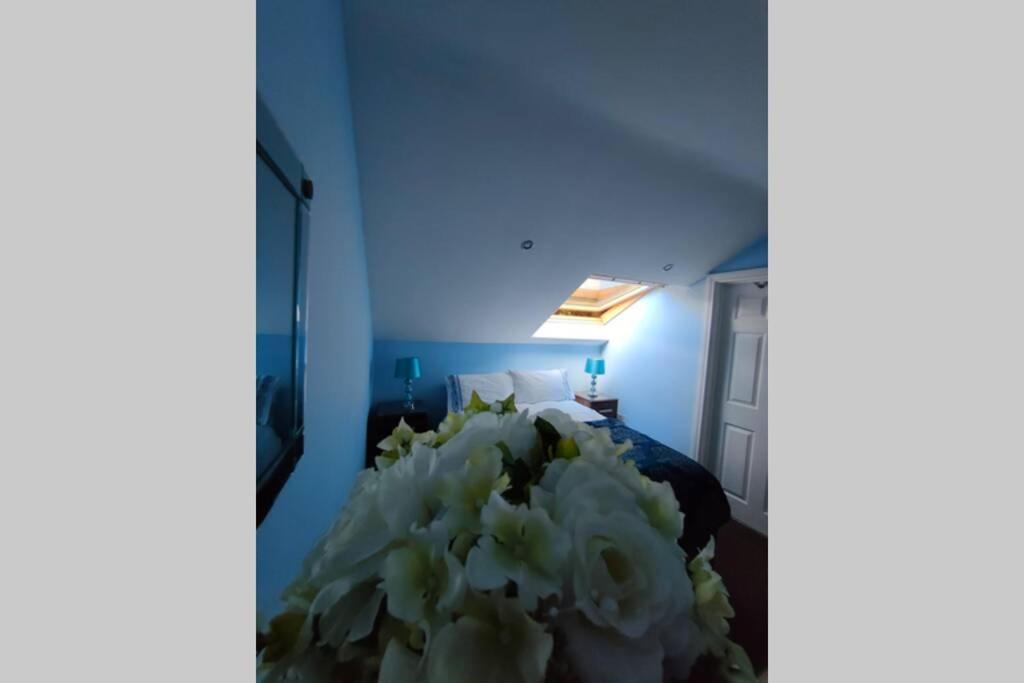 Bt 9 Granny Flat & Walled Garden ベルファスト エクステリア 写真